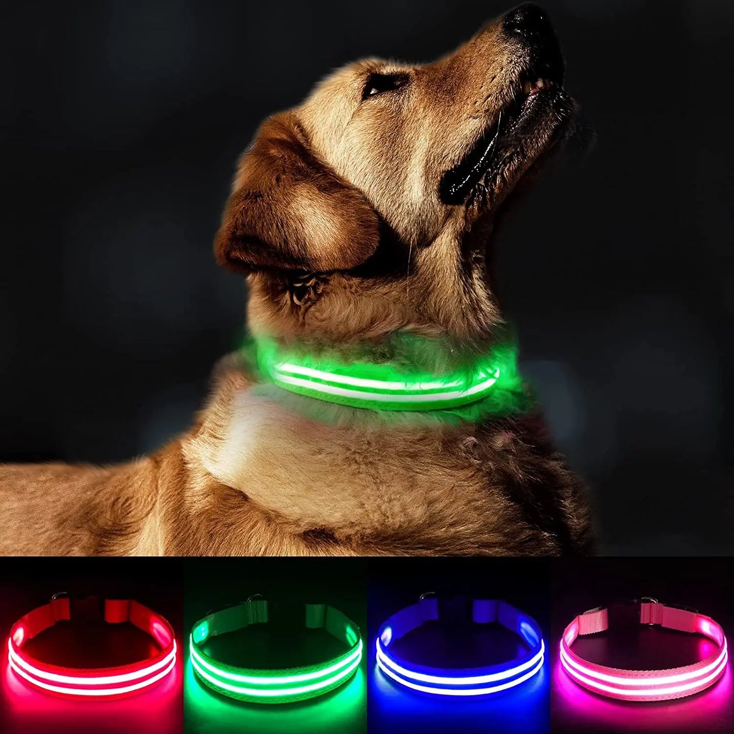 LED Rechargeable Waterproof Dog Collar