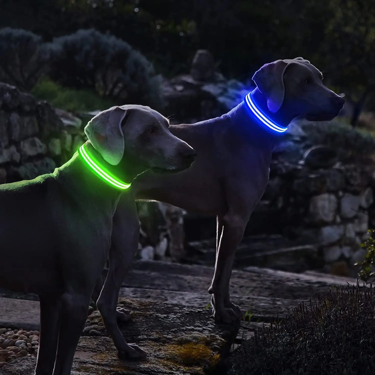 LED Rechargeable Waterproof Dog Collar