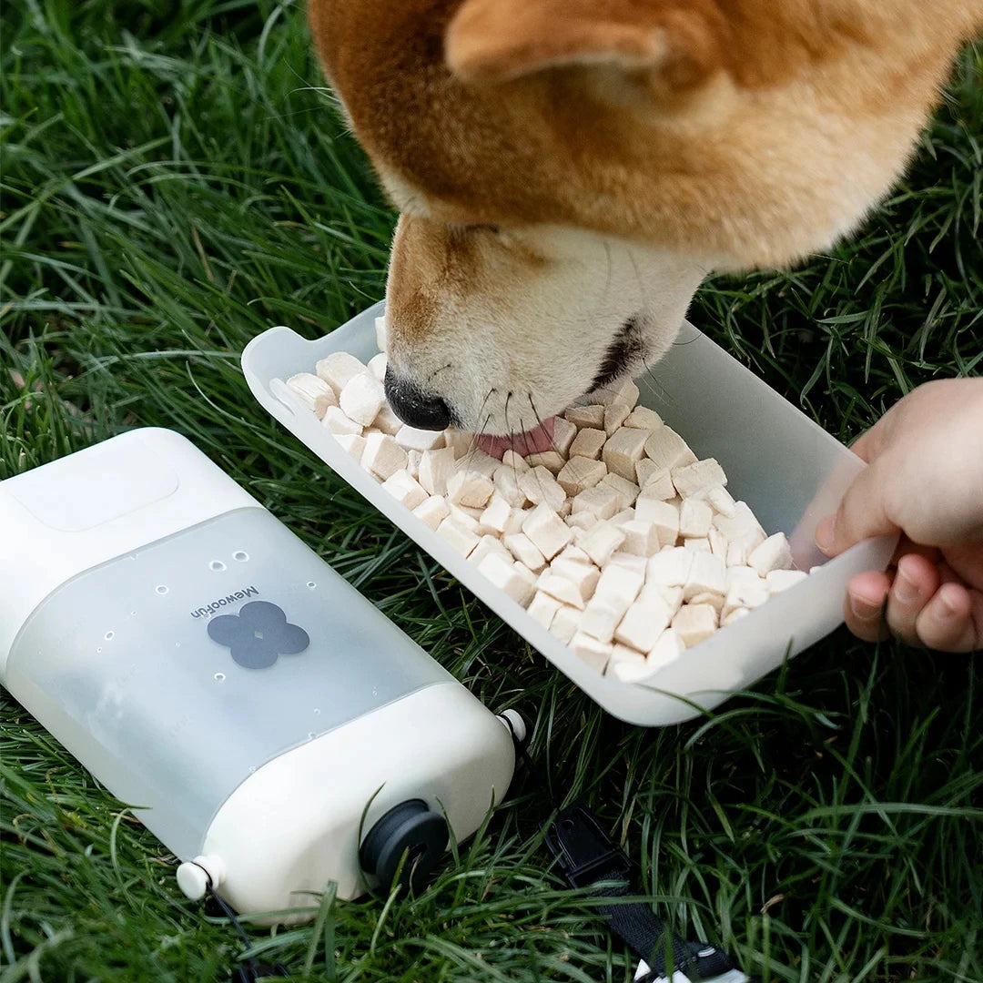 Dog Water Bottle